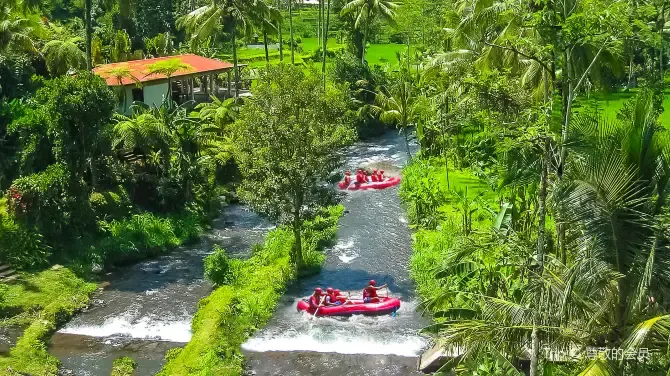 7. Rafting di Sungai Ayung