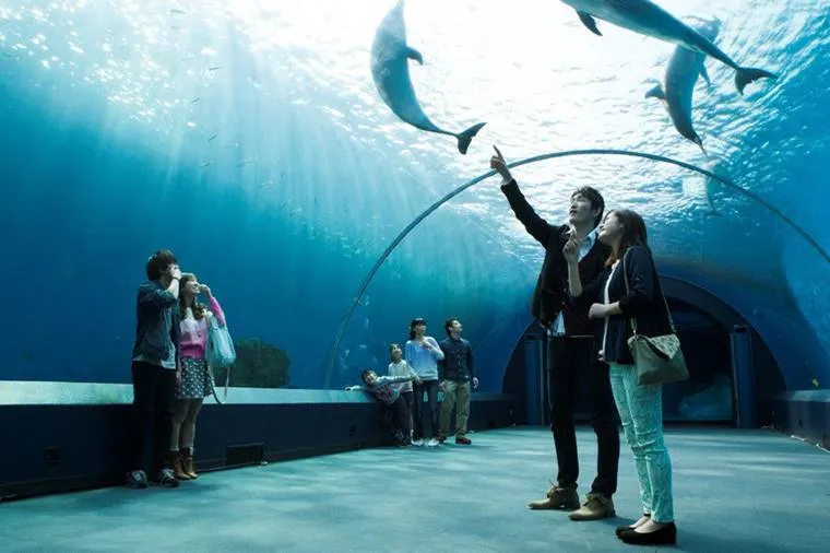 Yokohama Hakkeijima Sea Paradise