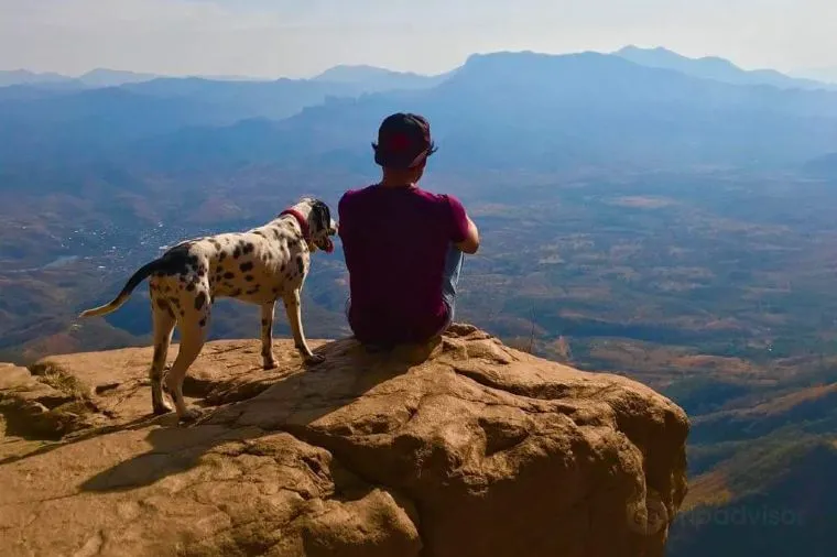 2月に行きたいメキシコのイベント3つ