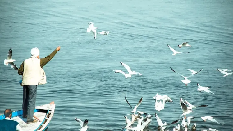 インドeSIMの1日プランを使うメリット・デメリット