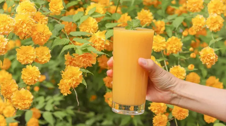 江原道旅行でやりたいこと3つ