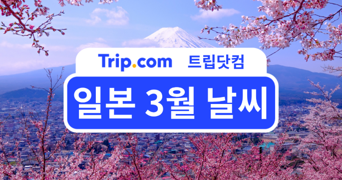 2026 일본 3월 날씨 가이드: 지역별 기온과 벚꽃 여행 꿀팁 | 트립닷컴