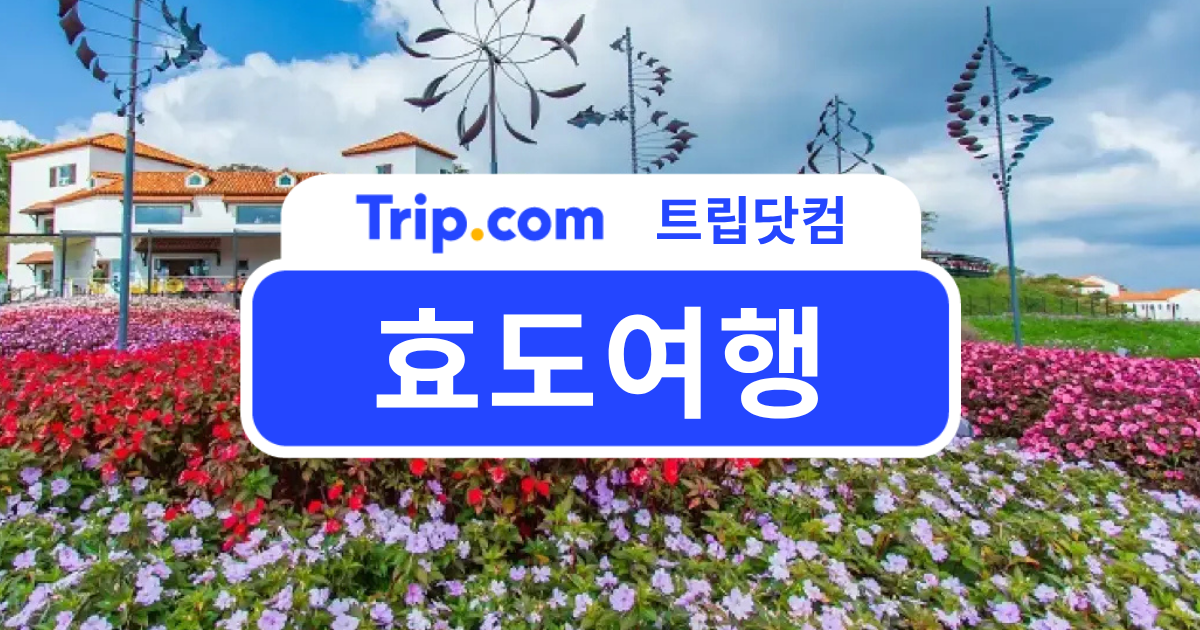 효도 여행 추천, 부모님과 함께 가기 좋은 국내·해외 여행지 | 트립닷컴