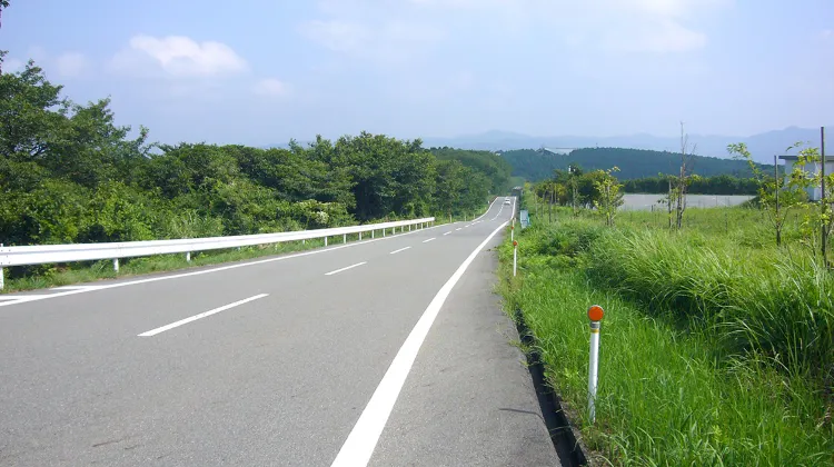 2.静岡:伊豆スカイライン