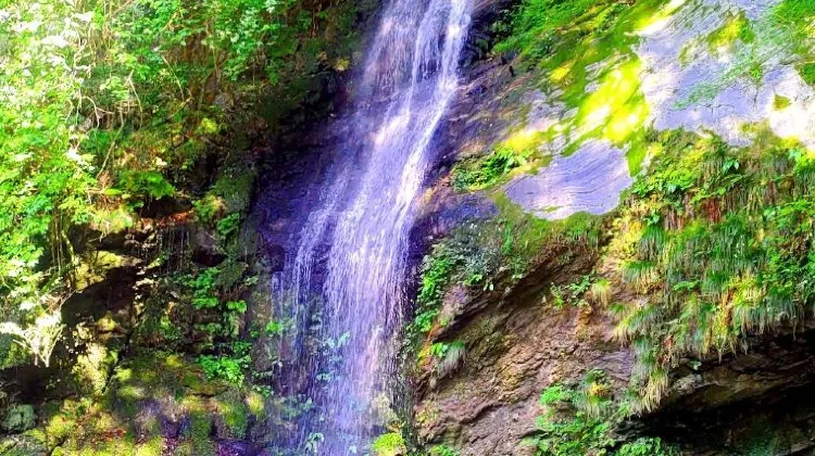 ひとり旅で徳島に行ったらやりたい5つのこと