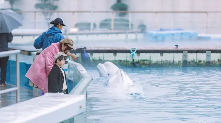 横浜・八景島シーパラダイスとは？
