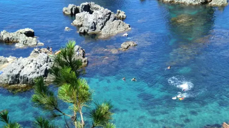 山口のお土産選びで気を付けたい3つのこと