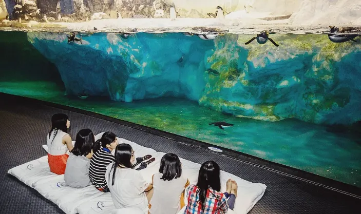 夜宿海洋生物博物館