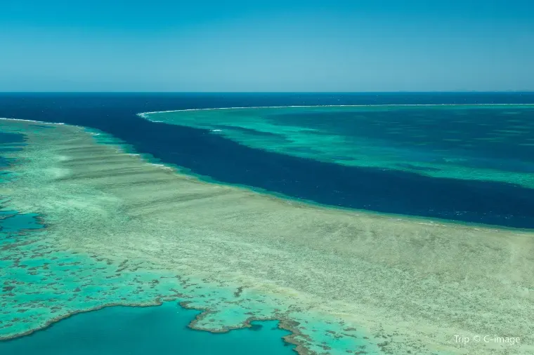 ケアンズ旅行で使うeSIMはTrip.comがおすすめ！選ばれる3つの理由