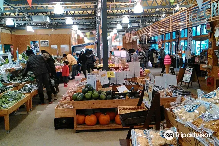 東日本景點－新潟縣新瀉Pia Bandai