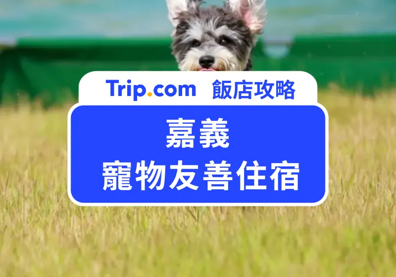 嘉義寵物友善住宿
