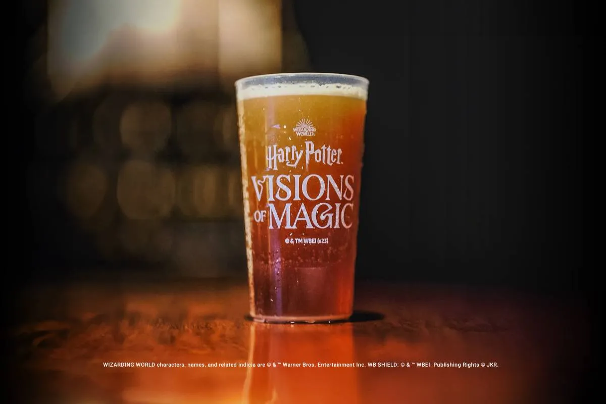 Harry Potter Visions of Magic Tickets and Visitor’s Guide