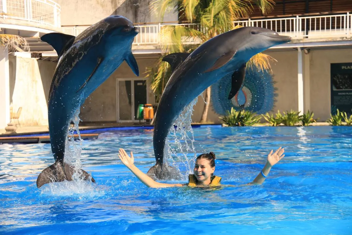 Apa itu Bali Exotic Marine Park