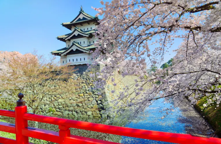 Tohoku Cherry Blossom | Best Viewing Spots
