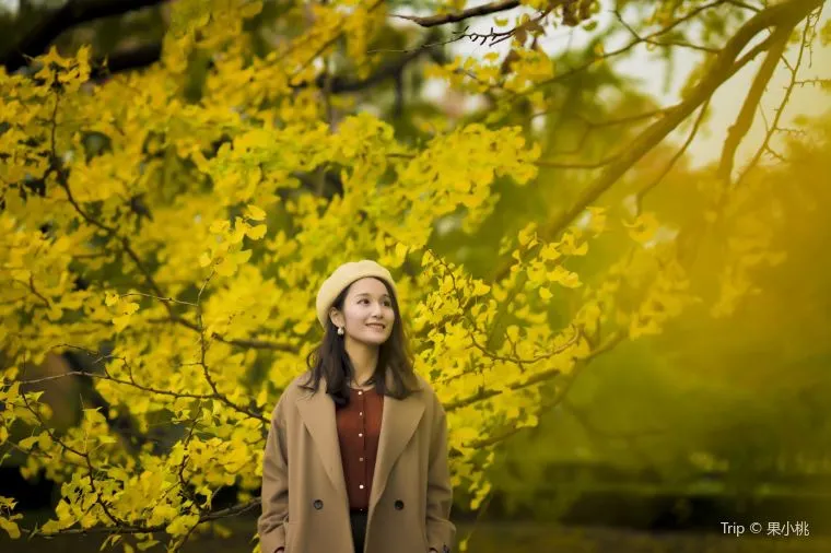 東京旅行はひとり旅こそおもしろい！