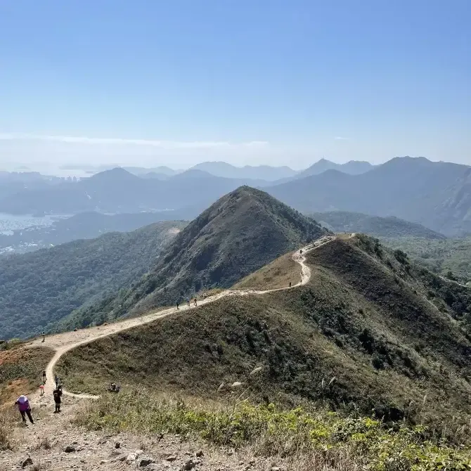 彎曲山之頂