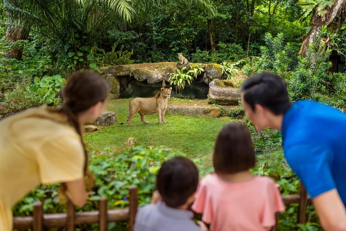 binatang di  Singapore Zoo