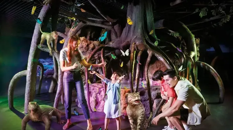 シーライフバンコクオーシャンワールドの見どころ