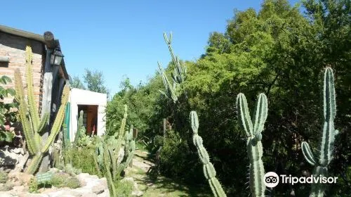 cost for sightseeing when traveling to Goa