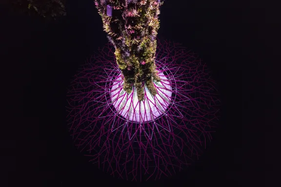 Gardens by the Bay Light Show