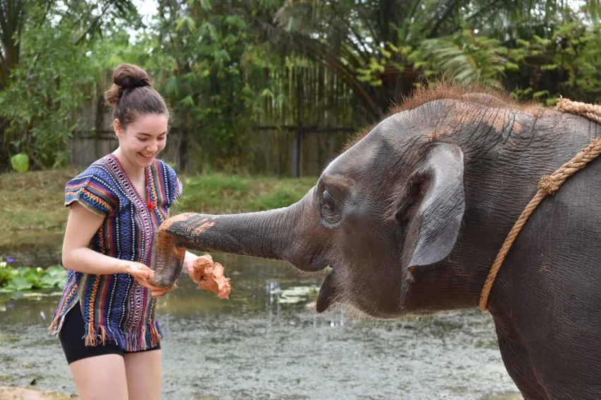 Elephant Care Park Phuket