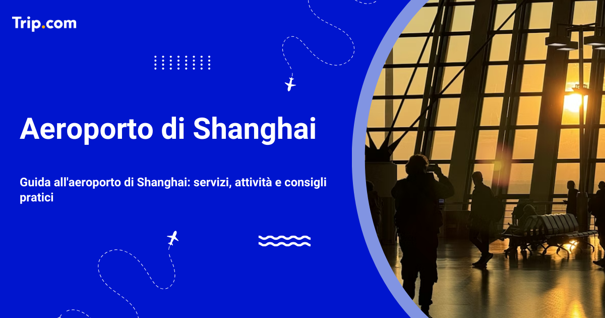 Aeroporto di Pechino: accesso, servizi e consigli utili.