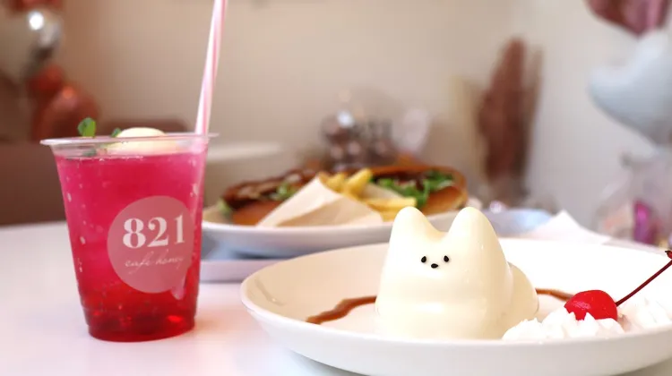 韓国スイーツ：猫プリン