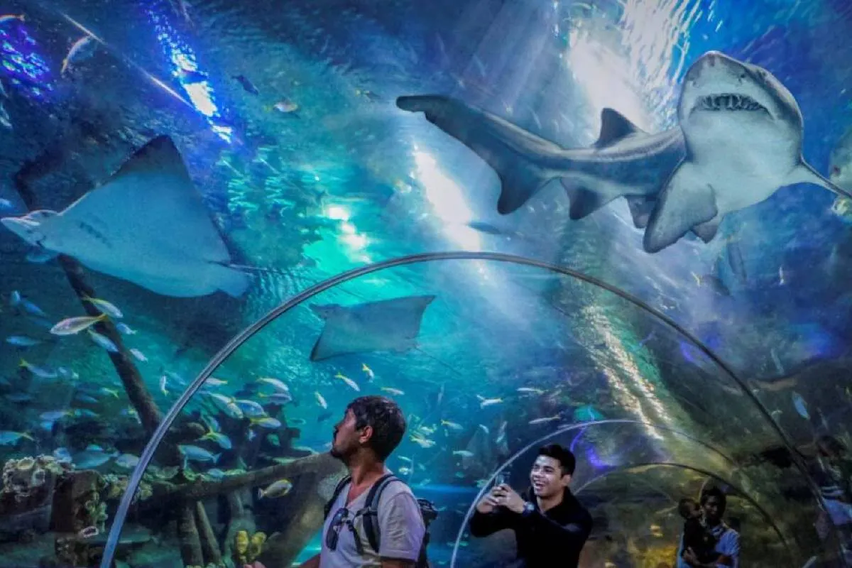 Hal-hal yang Perlu Diketahui Sebelum Mengunjungi Aquaria KLCC