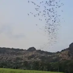 ที่เที่ยวพิษณุโลก#7 บ้านมุง