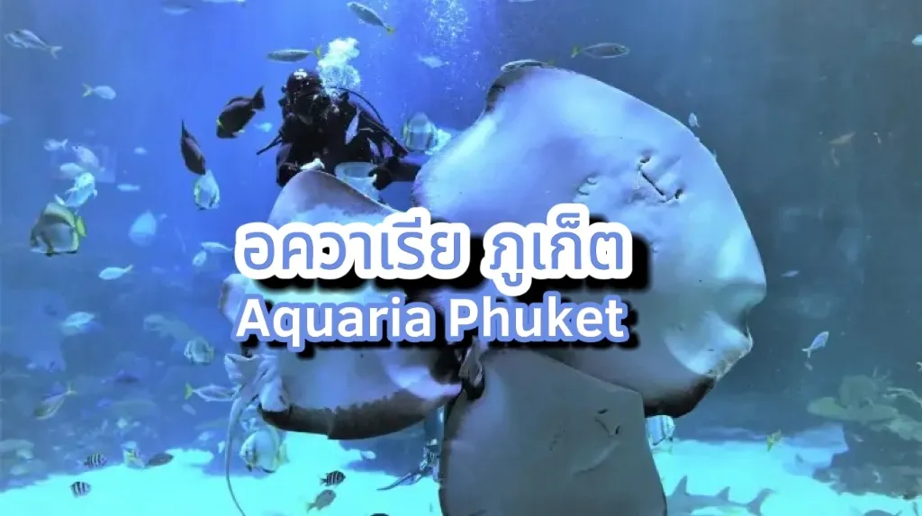 อควาเรีย ภูเก็ต Aquaria Phuket