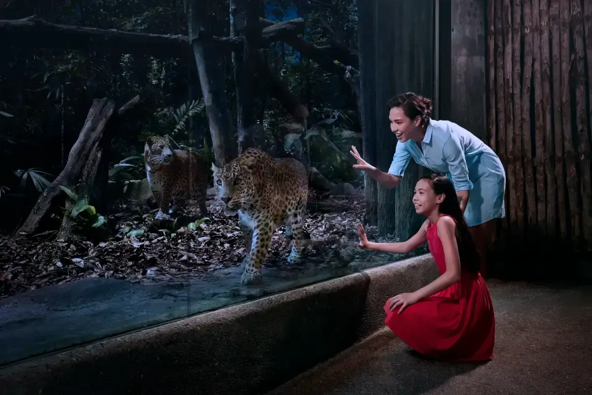 ナイトサファリの営業時間