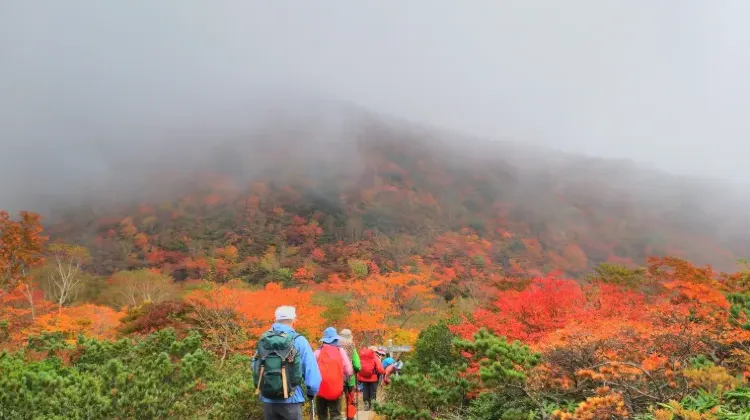 那須のお土産選びでよくある質問