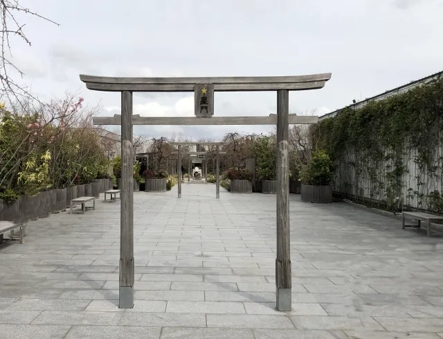 つばめの杜ひろば