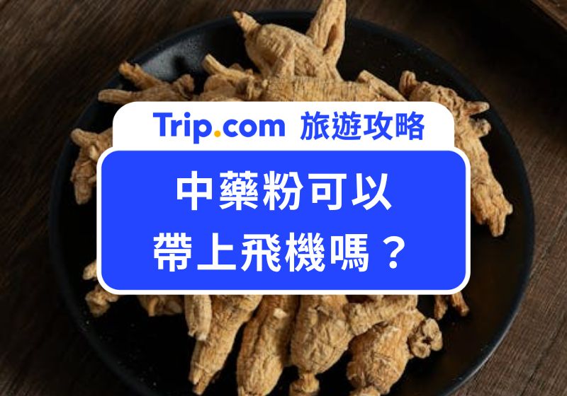 中藥粉可以帶上飛機嗎？出國攜帶規定、粉末安檢注意事項一次看 | Trip.com