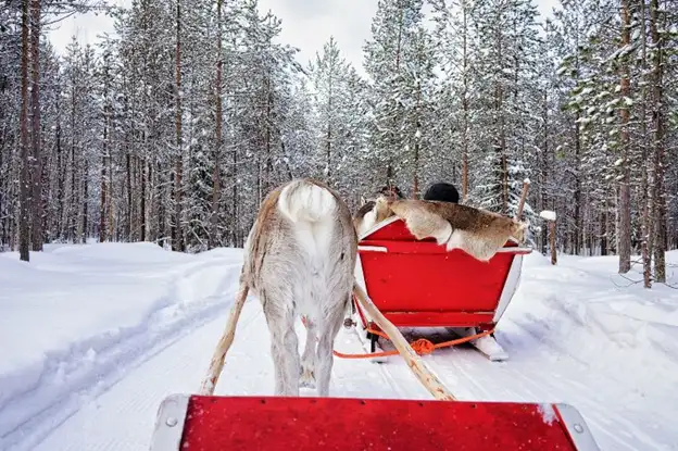 Finnish Lapland