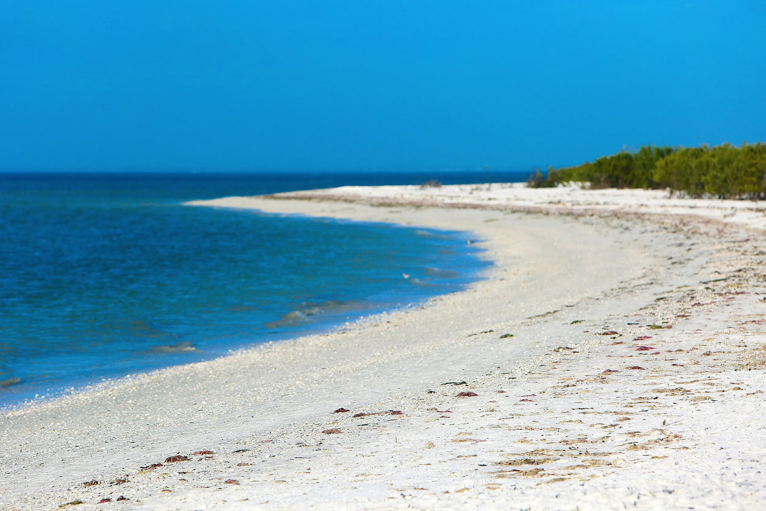 Book Cheap Flights from London to Mauritius and Save Money