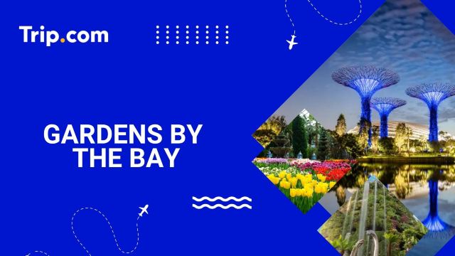Gardens by the Bay Guide: Hours, Transport & Attractions | Trip.com