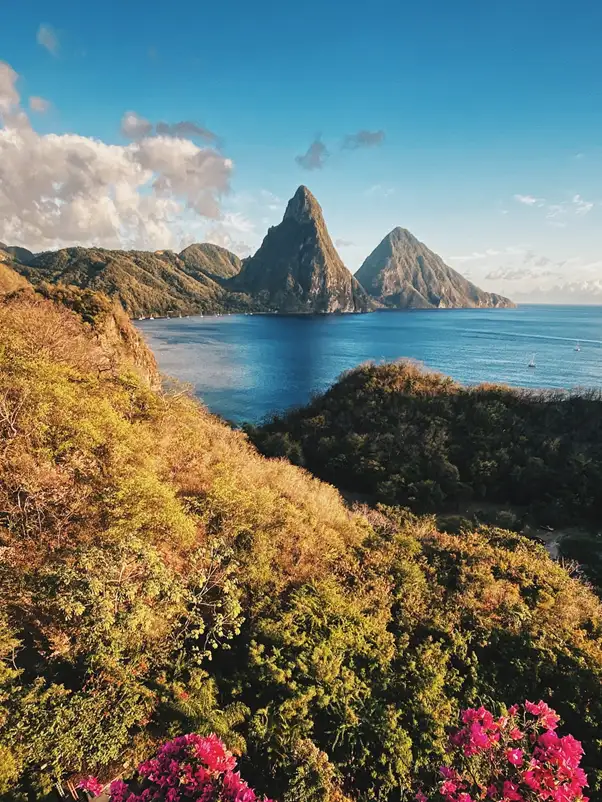 green and brown trees near body of water during daytime