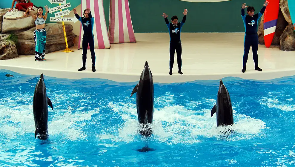 遠雄海洋公園