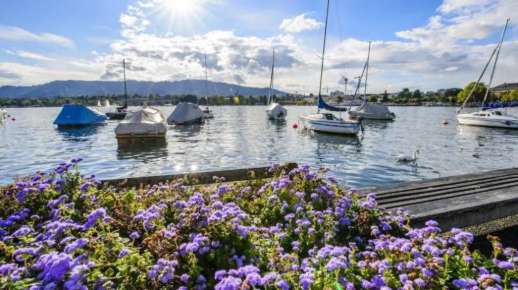 チューリヒ湖クルーズ