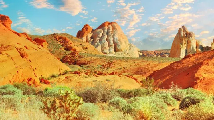 ラスベガス旅行はひとり旅こそおもしろい!