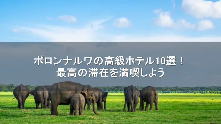 ポロンナルワ 高級ホテル