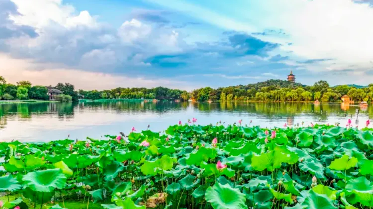 中国列車チケットの予約ならTrip.comが素早くて簡単！