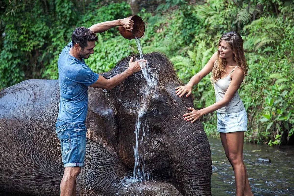 Things to Do in Canggu-Bali Zoo