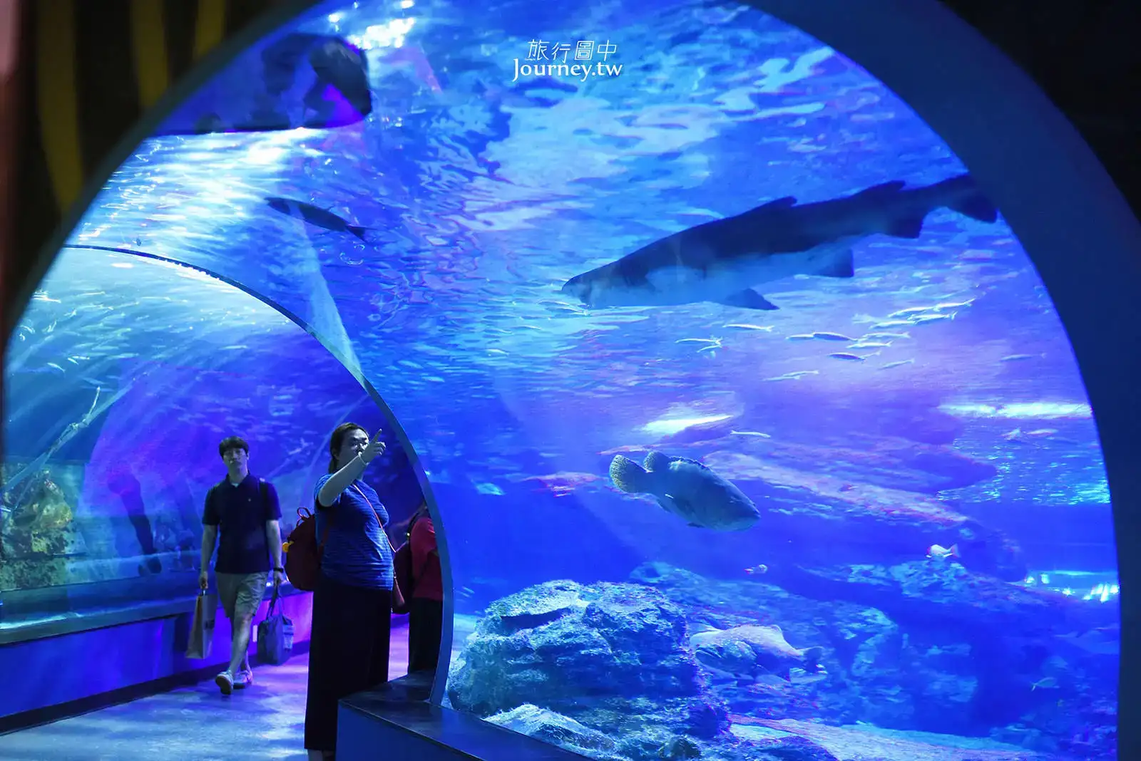 SEA LIFE釜山水族館