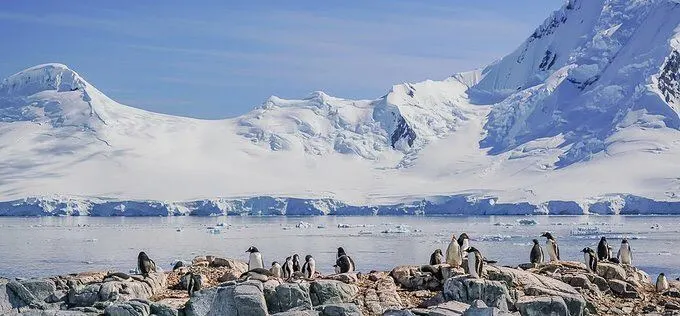 Tips for Traveling to Antarctica