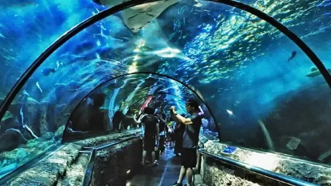 Wisata dekat Karawang-Sea World Indonesia
