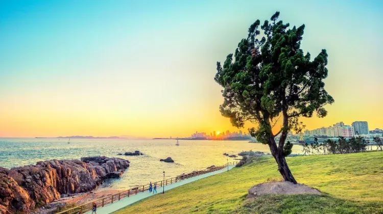 青島（チンタオ）｜山東省