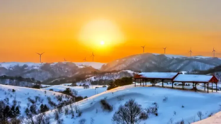 ソウルから平昌行きのKTXチケットならTrip.comで予約！