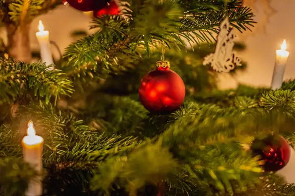 Kerzen und Christbaumkugeln schmücken einen Tannenbaum